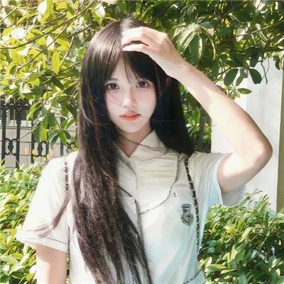 骚狐狸